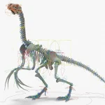 Therizinosaurus Skeleton 3D Model