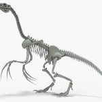 Therizinosaurus Skeleton 3D Model