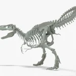 Tyrannosaurus Rex 3D Model