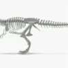 Tyrannosaurus Rex 3D Model Rigged Basemesh Skeleton 3D Model Creature Guard 46