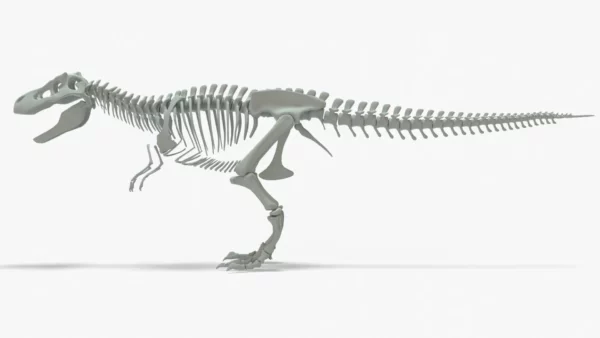 Tyrannosaurus Rex 3D Model Rigged Basemesh Skeleton 3D Model Creature Guard 19