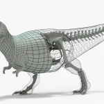 Tyrannosaurus Rex 3D Model
