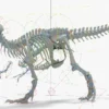 Tyrannosaurus Rex 3D Model Rigged Basemesh Skeleton 3D Model Creature Guard 50