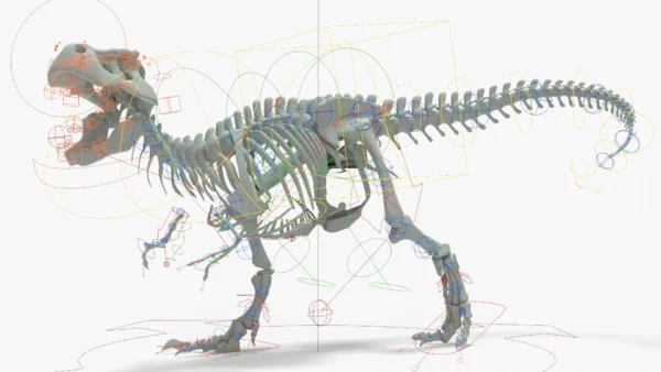 Tyrannosaurus Rex 3D Model Rigged Basemesh Skeleton 3D Model Creature Guard 23