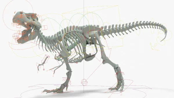 Tyrannosaurus Rex 3D Model Rigged Basemesh Skeleton 3D Model Creature Guard 25