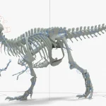 Tyrannosaurus Rex 3D Model