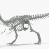 Tyrannosaurus Rex 3D Model Rigged Basemesh Skeleton 3D Model Creature Guard 31