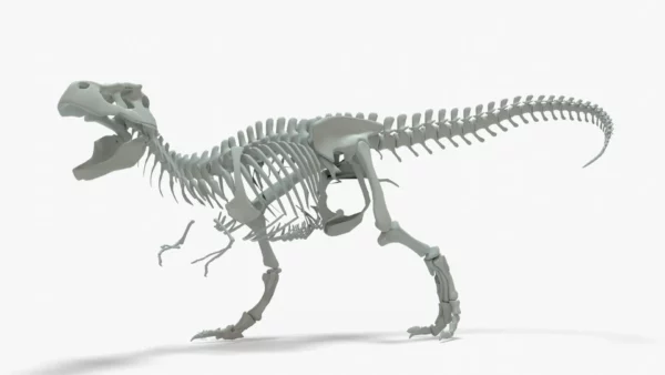 Tyrannosaurus Rex 3D Model Rigged Basemesh Skeleton 3D Model Creature Guard 4