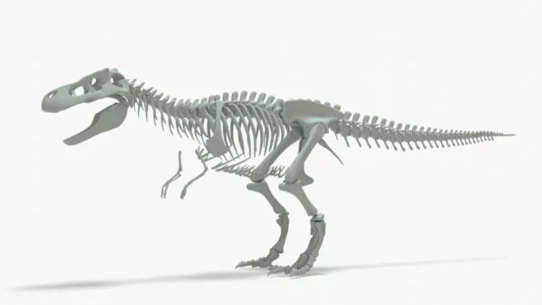Tyrannosaurus Rex 3D Model Rigged Basemesh Skeleton 3D Model Creature Guard 6