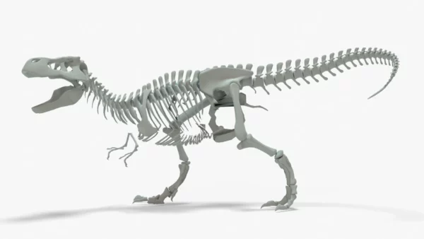 Tyrannosaurus Rex 3D Model Rigged Basemesh Skeleton 3D Model Creature Guard 8