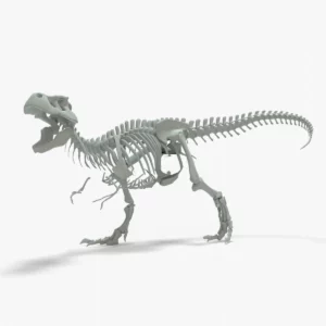Tyrannosaurus Rex Rigged Skeleton