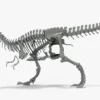 Tyrannosaurus Rex Rigged Skeleton 3D Model 3D Model Creature Guard 34
