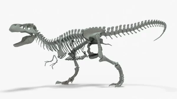 Tyrannosaurus Rex Rigged Skeleton 3D Model 3D Model Creature Guard 9