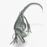 Tyrannosaurus Rex skeleton 3D Model