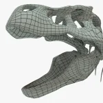 Tyrannosaurus Rex skeleton 3D Model