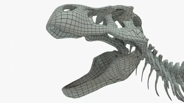 Tyrannosaurus Rex skeleton 3D Model