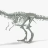 Tyrannosaurus Rex Rigged Skeleton 3D Model 3D Model Creature Guard 28