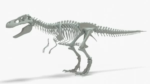 Tyrannosaurus Rex Rigged Skeleton 3D Model 3D Model Creature Guard 3