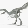 Tyrannosaurus Rex Rigged Skeleton 3D Model 3D Model Creature Guard 30