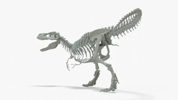Tyrannosaurus Rex Rigged Skeleton 3D Model 3D Model Creature Guard 5