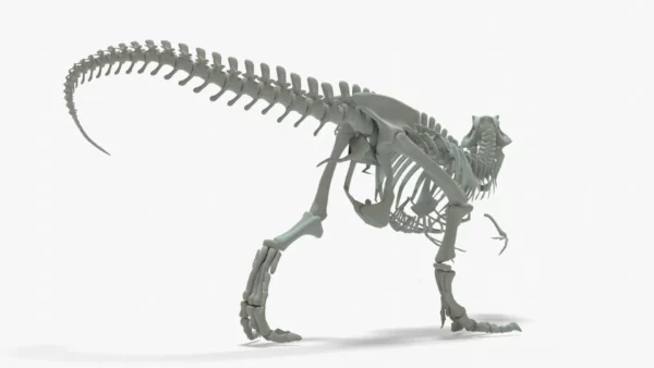 T Rex skeleton 3D Model