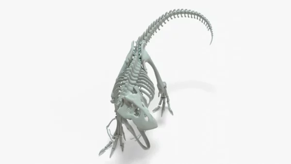 Tyrannosaurus Rex Rigged Skeleton 3D Model 3D Model Creature Guard 8