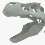 Tyrannosaurus Rex skeleton 3D Model