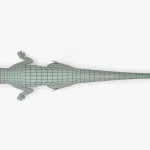 Utahraptor 3D Model