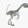 Velociraptor 3D Model Rigged Basemesh Skeleton 3D Model Creature Guard 45