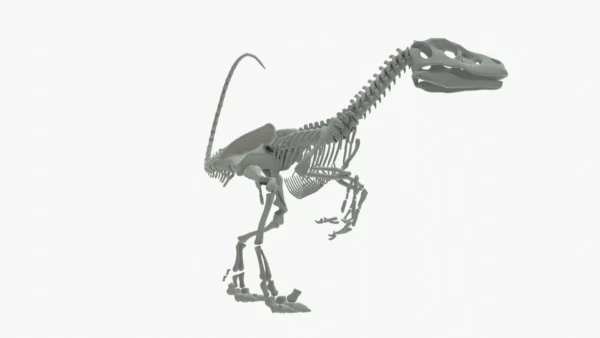 Velociraptor 3D Model Rigged Basemesh Skeleton 3D Model Creature Guard 14