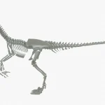 Velociraptor 3D Model