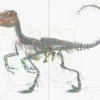 Velociraptor 3D Model Rigged Basemesh Skeleton 3D Model Creature Guard 58