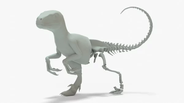 Velociraptor 3D Model Rigged Basemesh Skeleton 3D Model Creature Guard 3