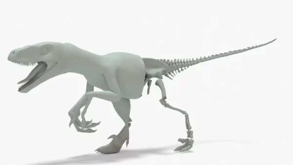 Velociraptor 3D Model Rigged Basemesh Skeleton 3D Model Creature Guard 4