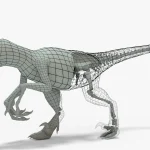 Velociraptor 3D Model