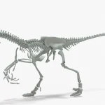 Velociraptor 3D Model