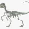 Velociraptor 3D Model Rigged Basemesh Skeleton 3D Model Creature Guard 39