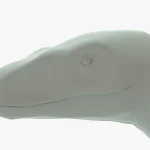 Velociraptor 3D Model