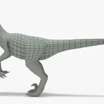 Velociraptor 3D Model