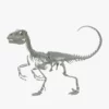Velociraptor 3D Model Rigged Skeleton