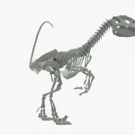Velociraptor Skeleton 3D Model
