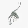 Velociraptor 3D Model Rigged Skeleton 3D Model Creature Guard 35