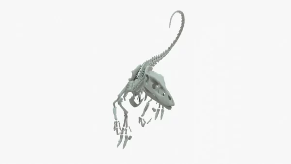 Velociraptor 3D Model Rigged Skeleton 3D Model Creature Guard 13