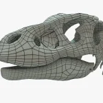 Velociraptor Skeleton 3D Model