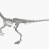 Velociraptor 3D Model Rigged Skeleton 3D Model Creature Guard 40