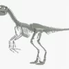 Velociraptor 3D Model Rigged Skeleton 3D Model Creature Guard 25