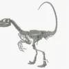 Velociraptor 3D Model Rigged Skeleton 3D Model Creature Guard 29