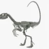 Velociraptor 3D Model Rigged Skeleton 3D Model Creature Guard 30