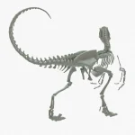 Velociraptor Skeleton 3D Model