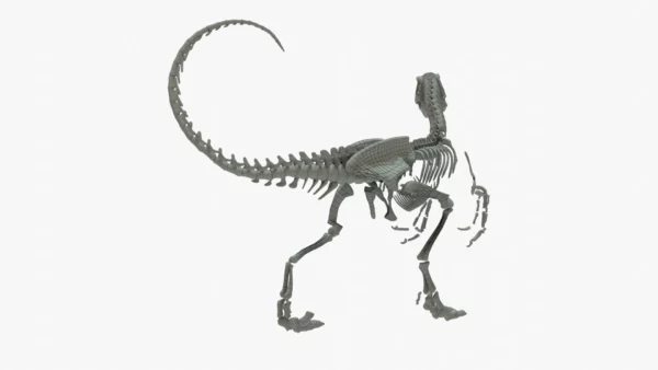 Velociraptor 3D Model Rigged Skeleton 3D Model Creature Guard 10
